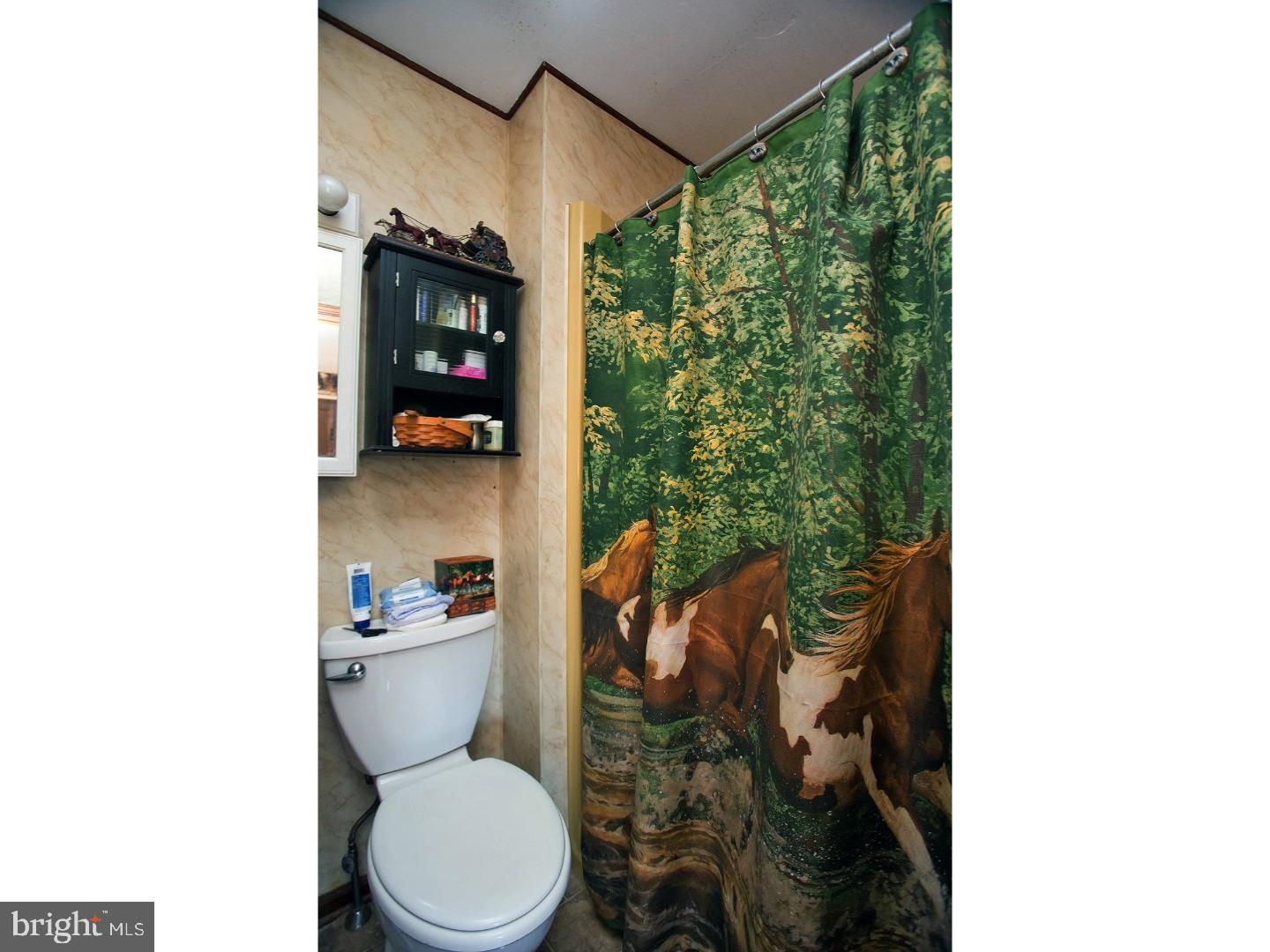 61 Black Road Pilesgrove, NJ 08098 - Photo 17 of 25 Bathroom