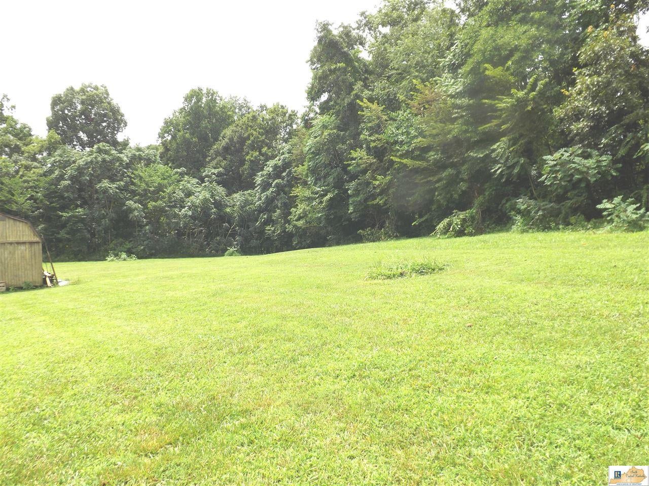 1231 Steenbergen Road Scottsville, KY 42164 - Photo 6 of 22 Gallery Image 6