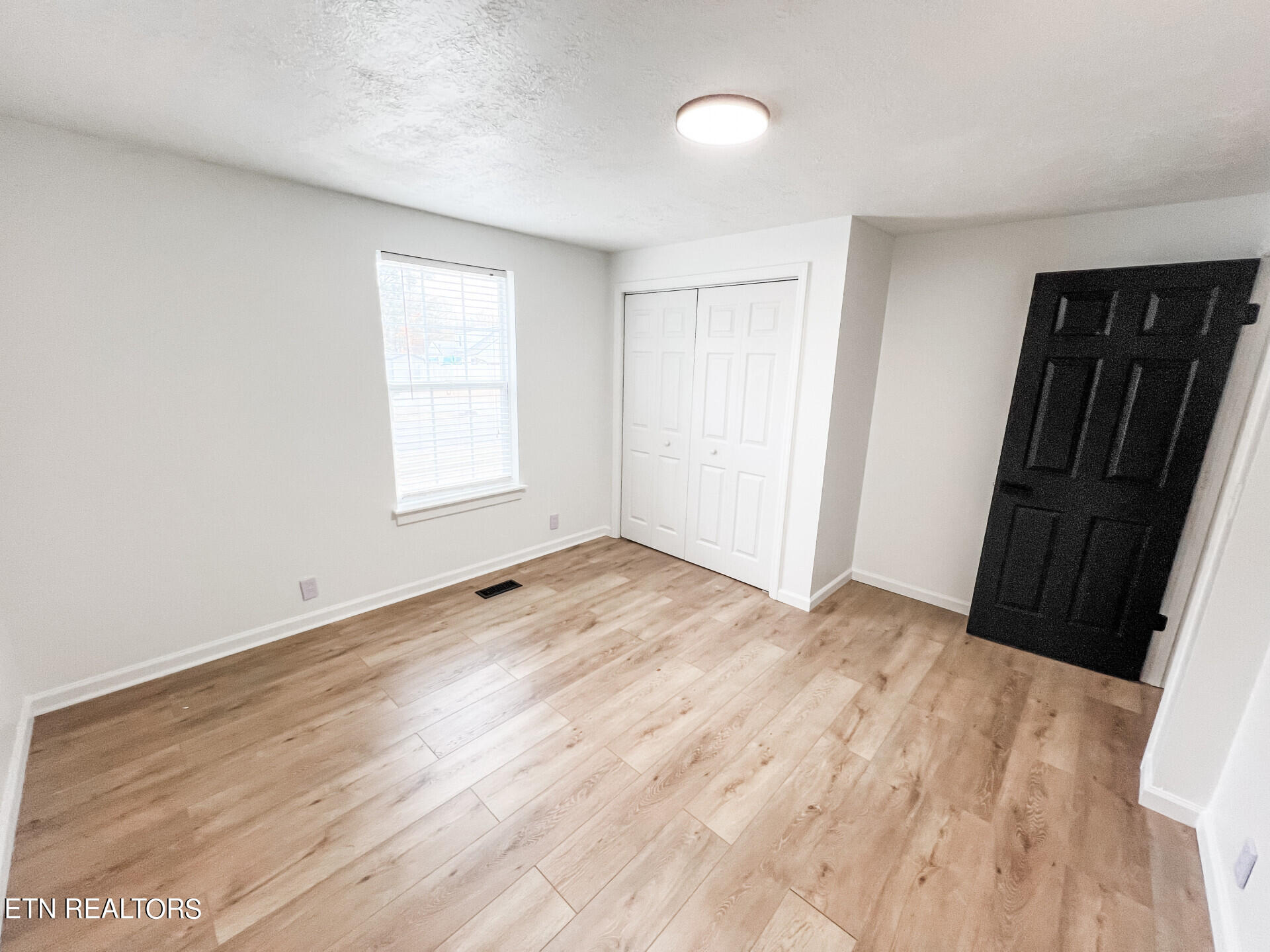 136 Pierce Street Spring City, TN 37381 - Photo 6 of 19 136PierceSt_36884_6