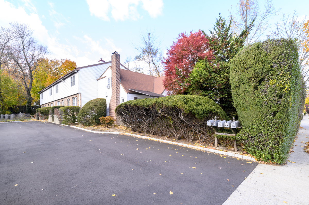 209 Seaside Avenue, Unit 2 Stamford, CT 06902 - Photo 18 of 19 a view of a street with potted plants and a large tree