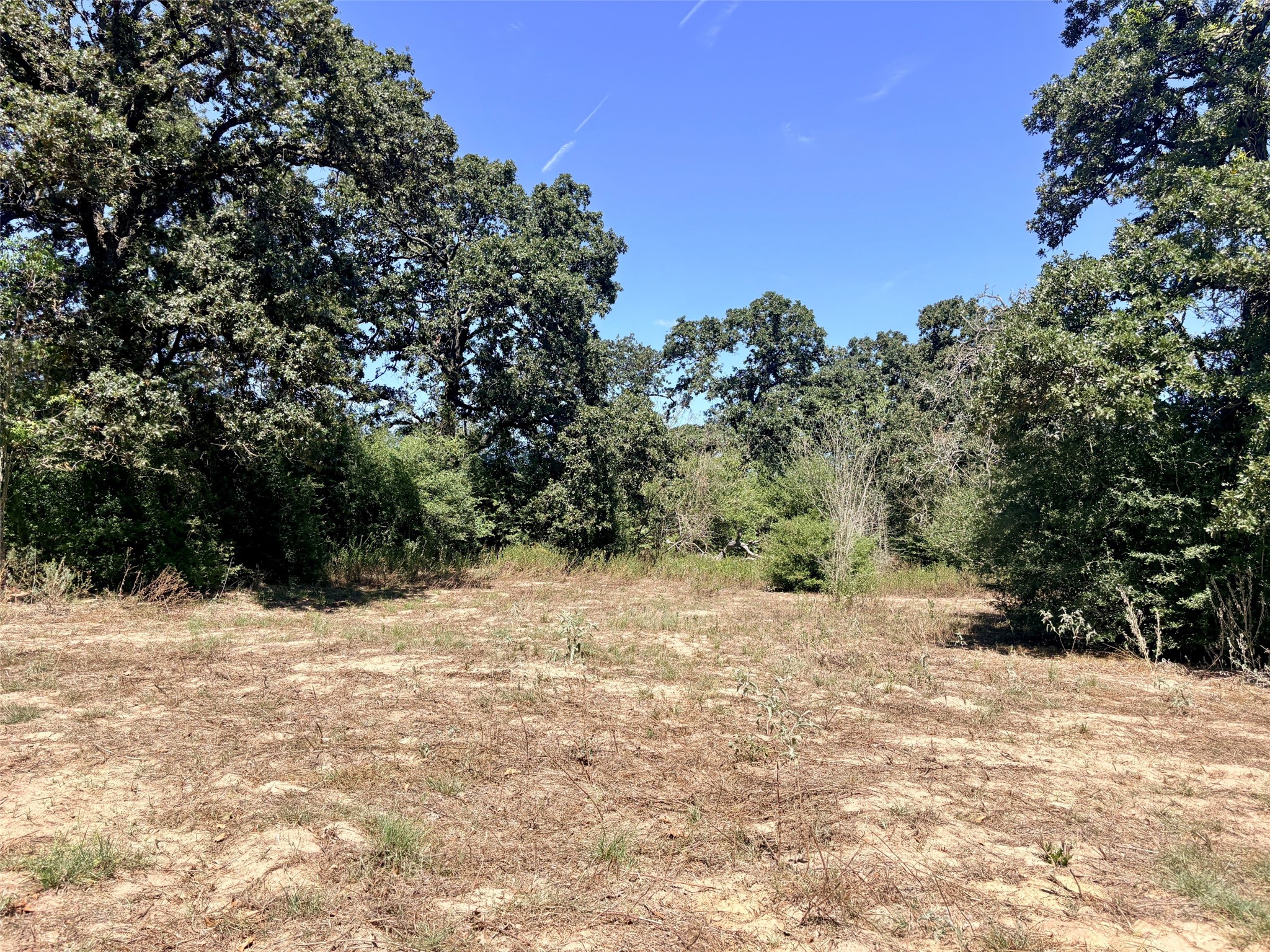 11529 Winstead Lane Calvert, TX 77837 - Photo 10 of 14 Open area