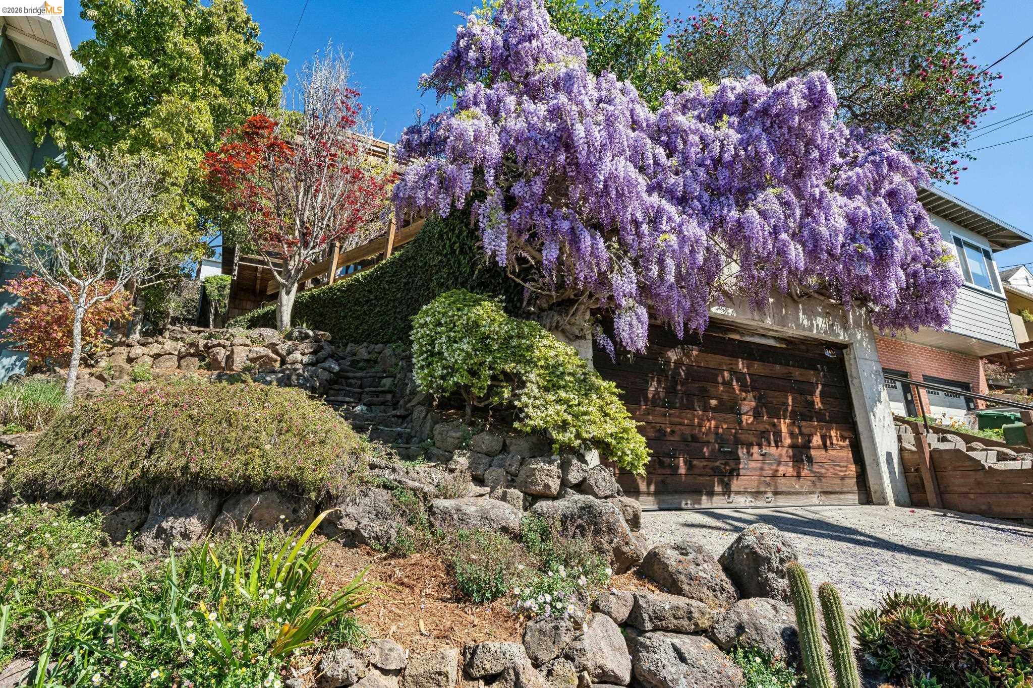 249 Trinity Avenue Kensington, CA 94708 - Photo 1 of 60