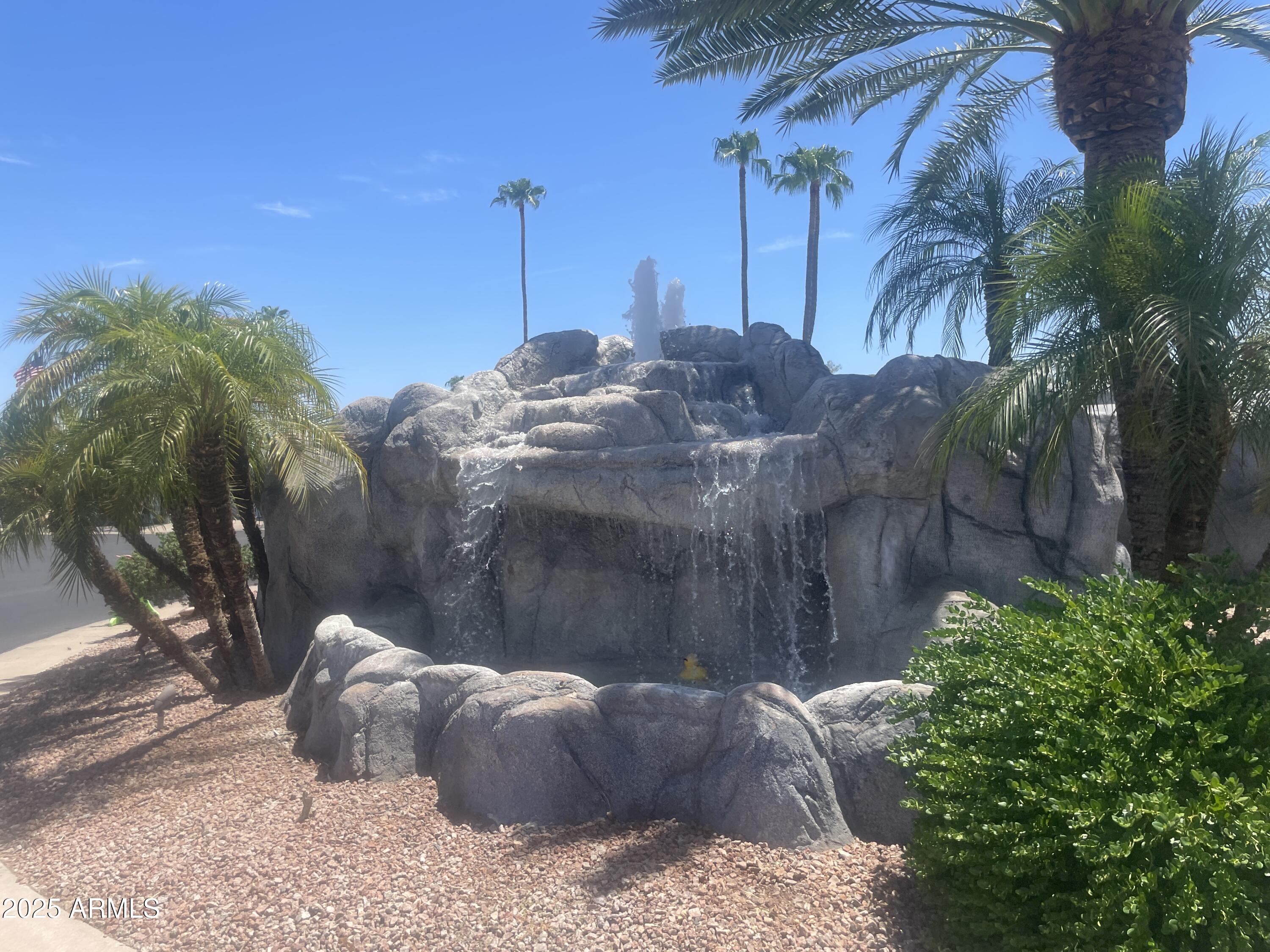 2929 East Main Street, Unit 219 Mesa, AZ 85213 - Photo 5 of 56 a view of outdoor space and garden