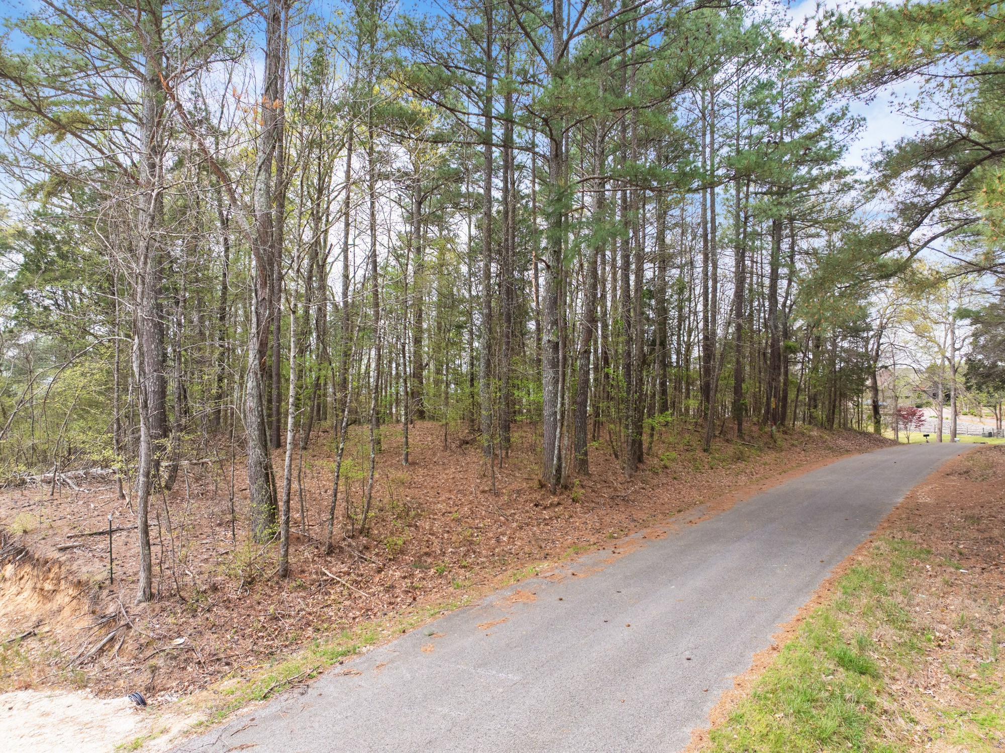 0 Branch Loop Big Sandy, TN 38221 - Photo 2 of 16 a backyard of a house with lots of green space