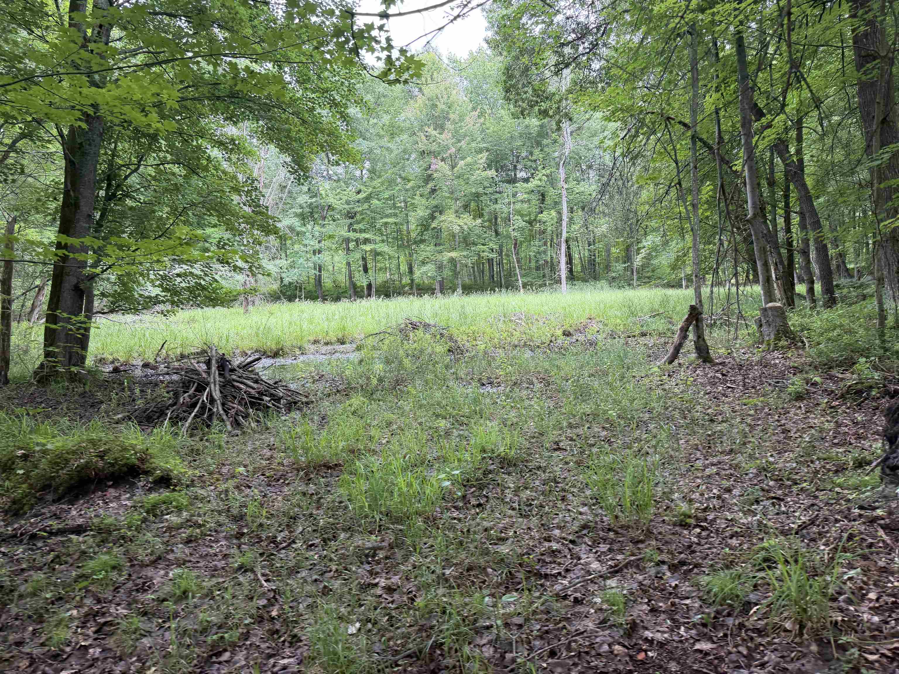259 Hatchery Road Farwell, MI 48622 - Photo 40 of 43