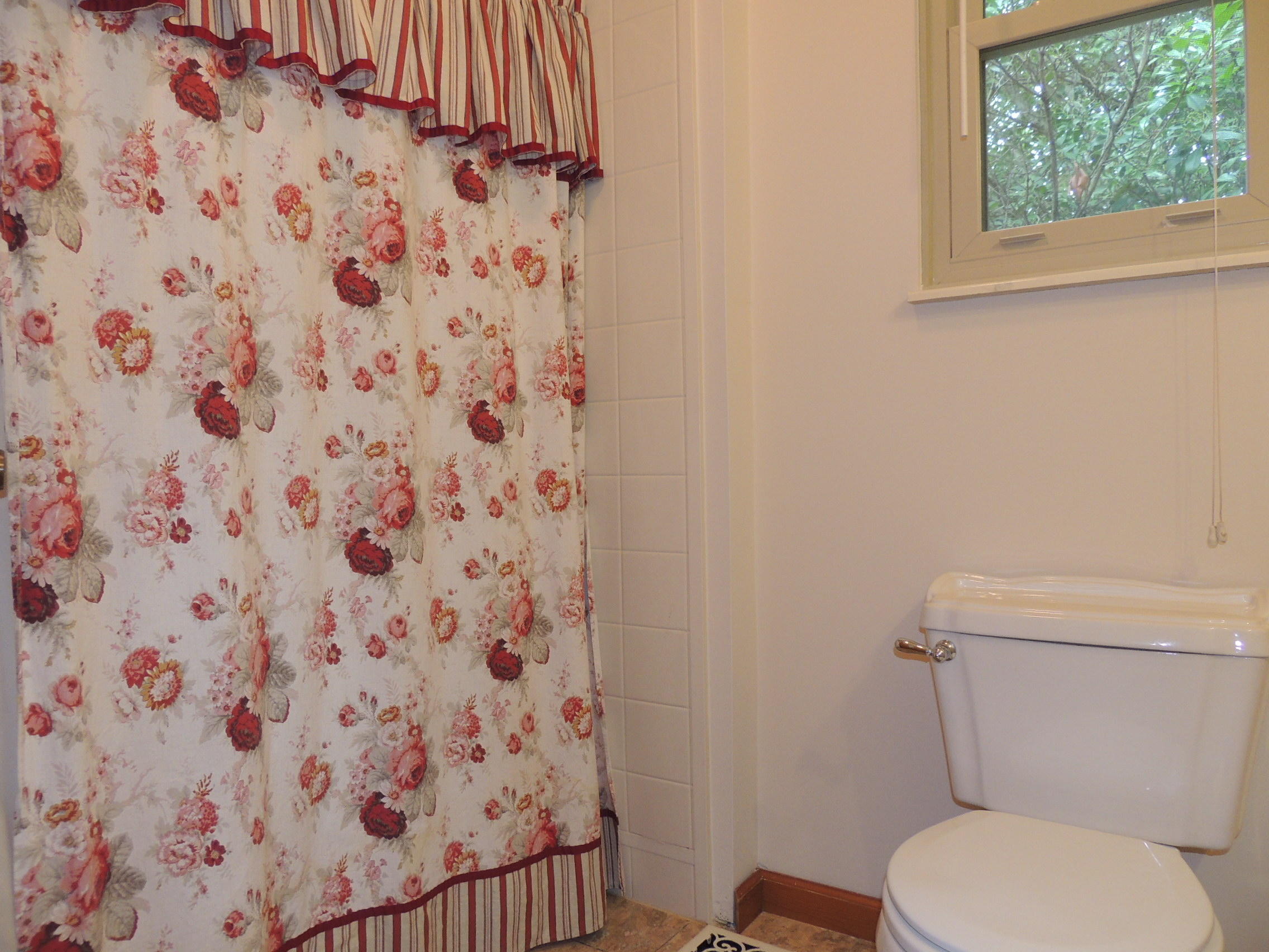 900 Pintail Road Knoxville, TN 37934 - Photo 25 of 29 DSCN3354