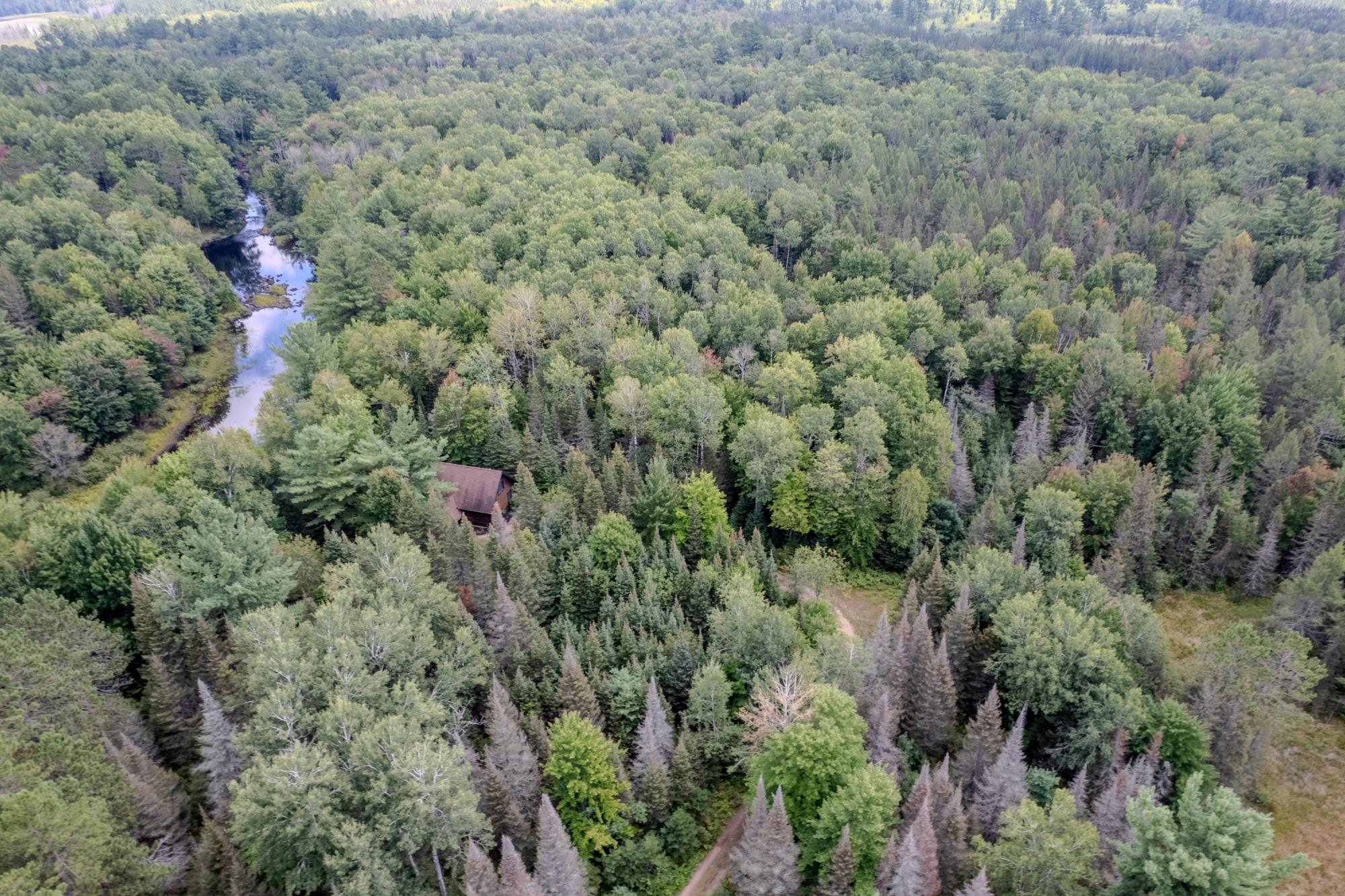 3369 Murmuring Pnes Trail Rhinelander, WI 54501 - Photo 43 of 45 Gallery Image 43