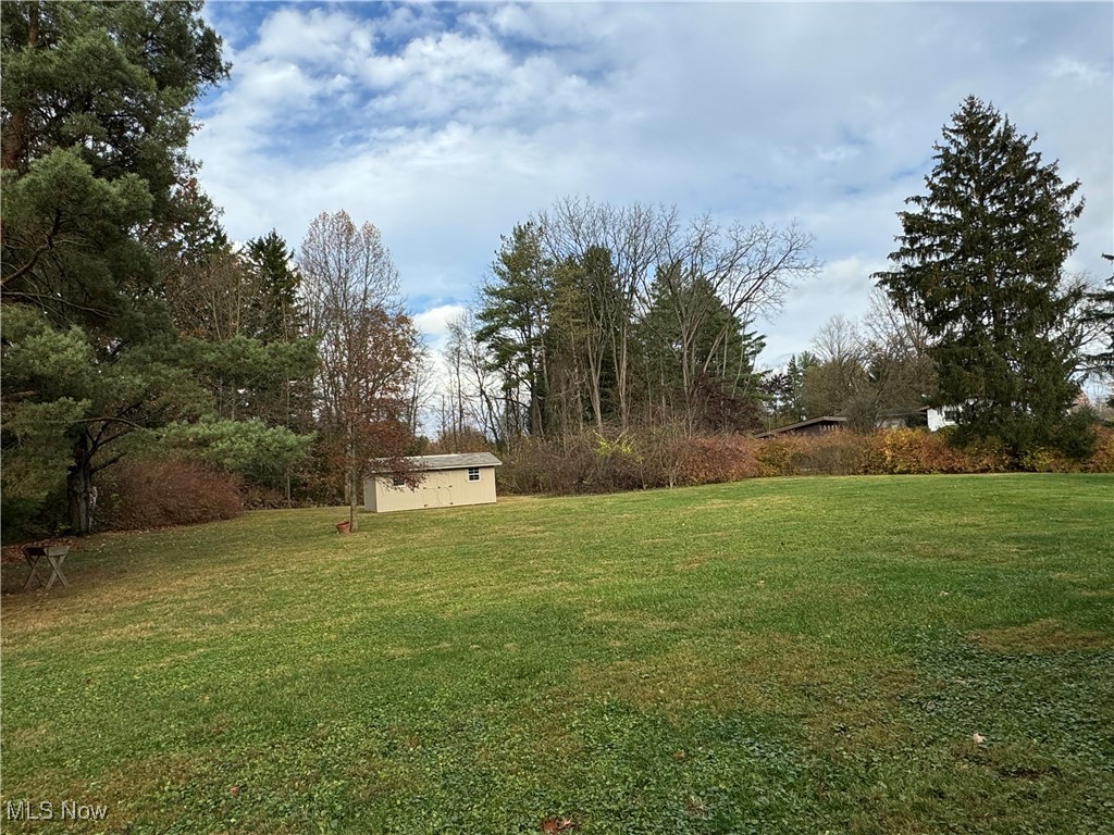 3115 Echo Hills Road Akron, OH 44333 - Photo 28 of 33 View of rear yard
