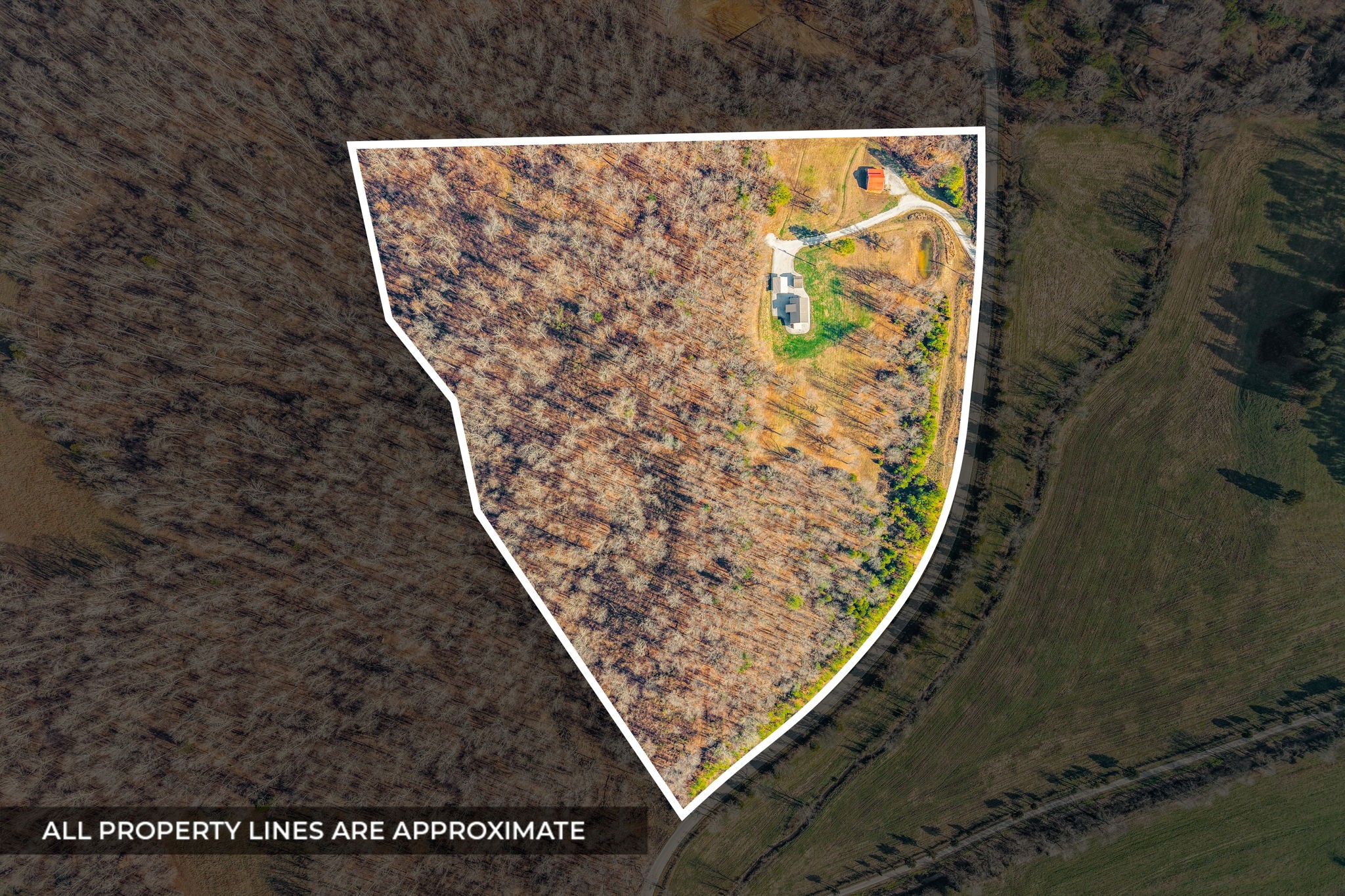 959 Herman Adams Road Cumberland City, TN 37050 - Photo 2 of 62