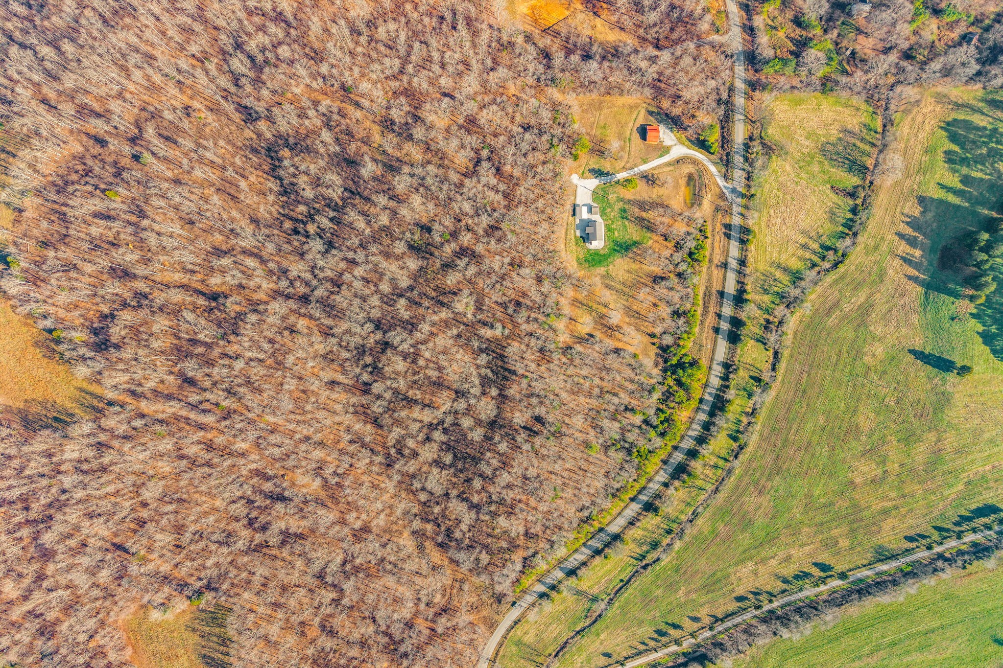 959 Herman Adams Road Cumberland City, TN 37050 - Photo 28 of 62