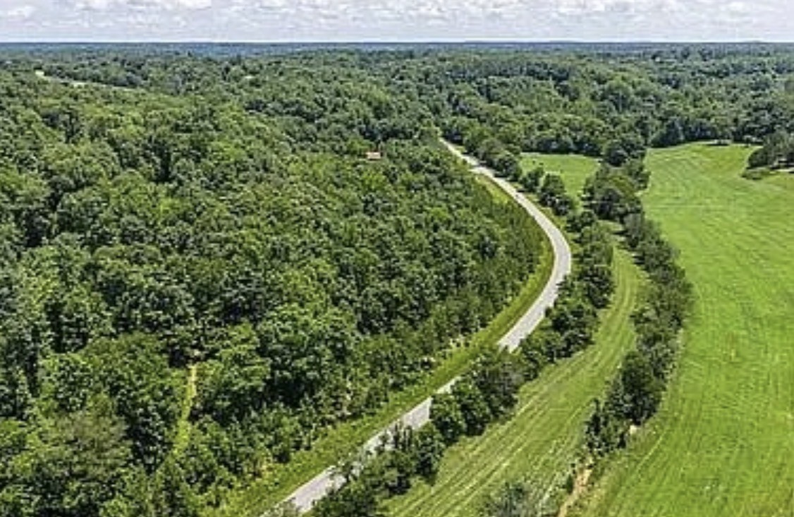 959 Herman Adams Road Cumberland City, TN 37050 - Photo 38 of 62