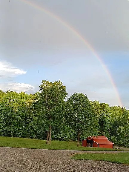 959 Herman Adams Road Cumberland City, TN 37050 - Photo 54 of 62 a view of a big yard