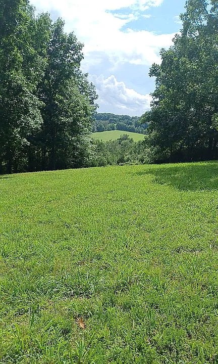 959 Herman Adams Road Cumberland City, TN 37050 - Photo 61 of 62