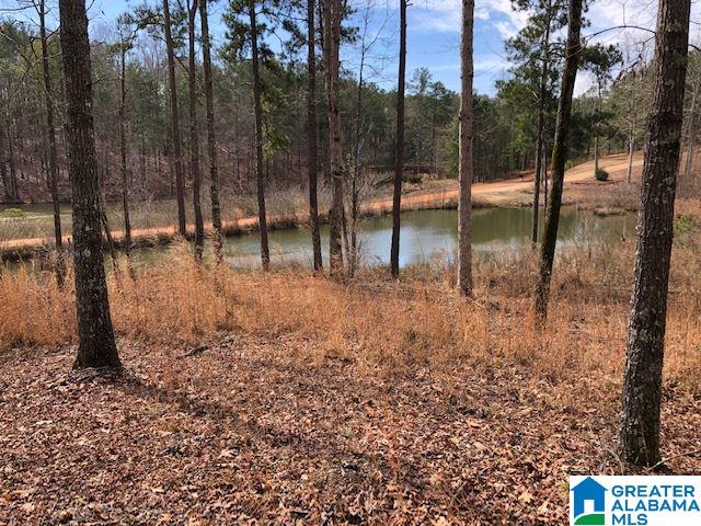 208 County Road, Unit 4 43 Heflin, AL 36264 - Photo 1 of 4