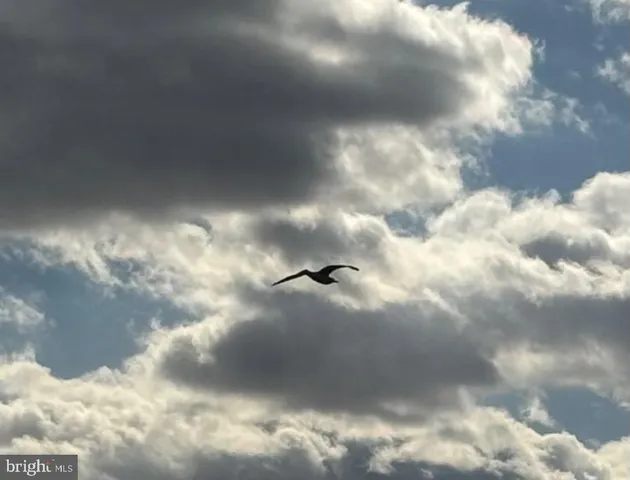 a close up of a snow