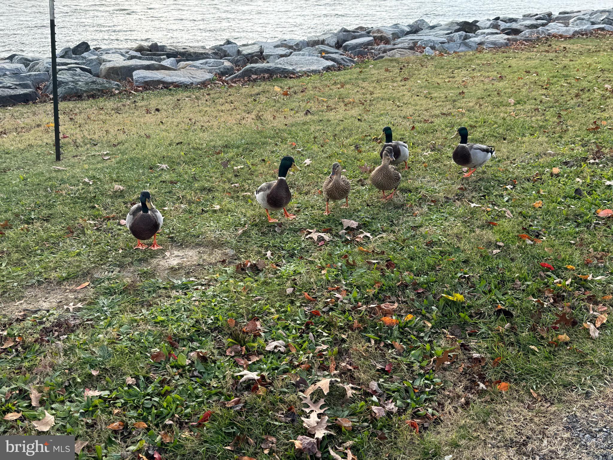 886 Turkey Point Road North East, MD 21901 - Photo 12 of 15