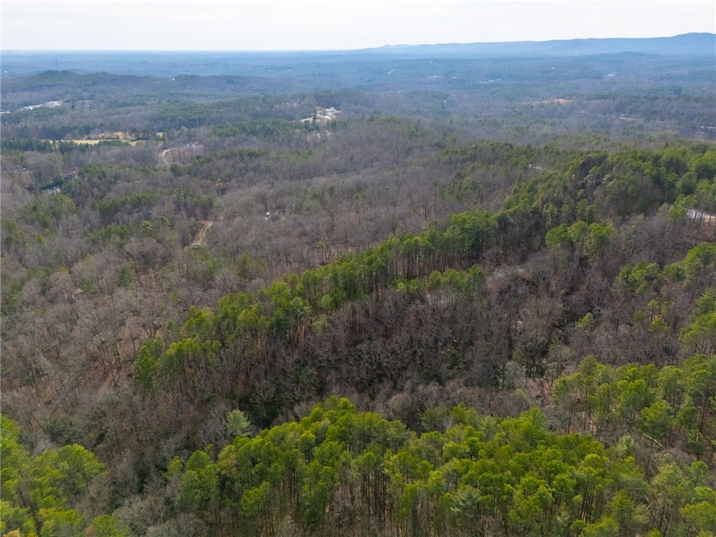 Tbd Tbd Ridge, Unit LOT S30 Salem, SC 29676 - Photo 8 of 13 Gallery Image 8