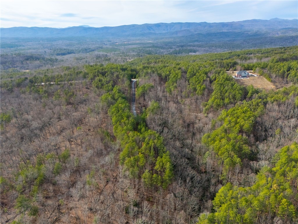 Tbd Tbd Ridge, Unit LOT S30 Salem, SC 29676 - Photo 9 of 13 Gallery Image 9