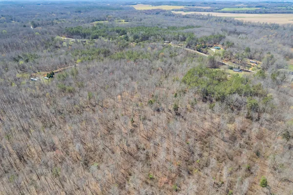 $79,900 | 0 Sweet Lips Road, Henderson, TN 38340