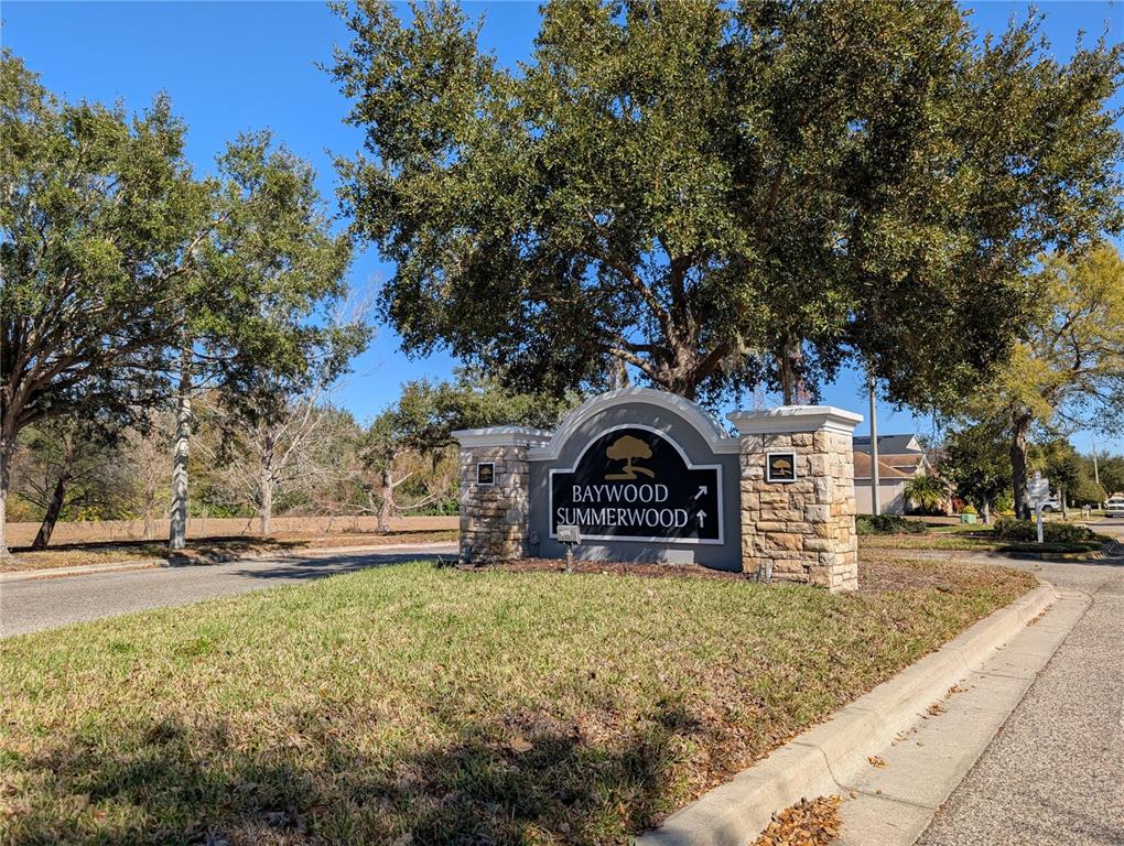 8955 Walnut Gable Court Riverview, FL 33578 - Photo 13 of 15 a front view of a house with a yard covered with snow