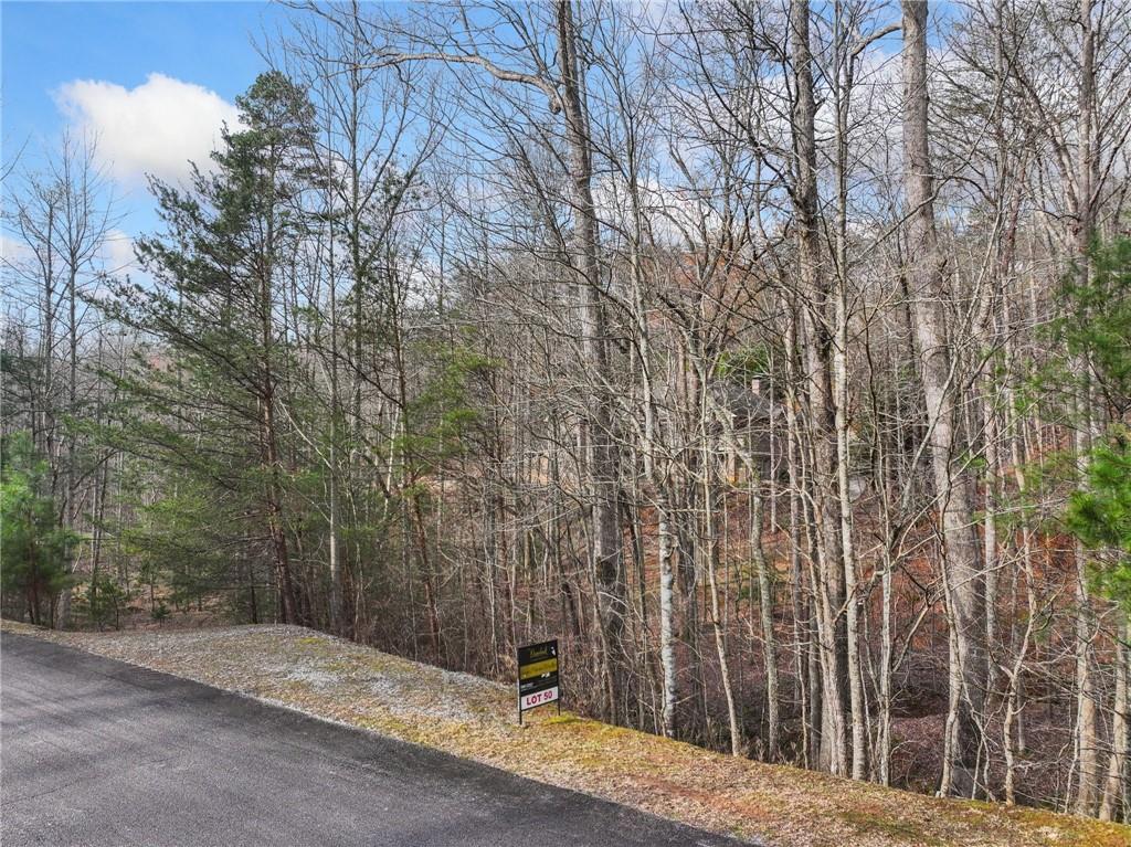 50 Old Stamp Mill Road Dahlonega, GA 30533 - Photo 5 of 38 a backyard of a house with lots of green space