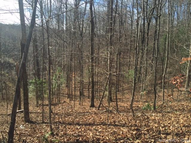 0 Ridge Road Rosman, NC 28772 - Photo 2 of 18 Gallery Image 2