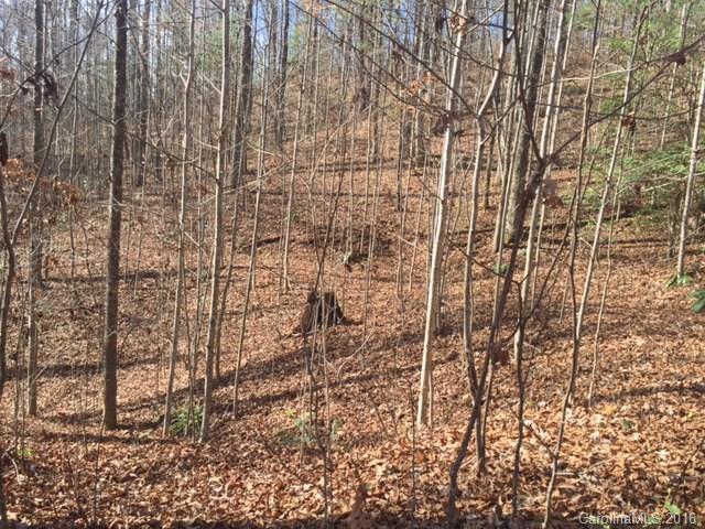 0 Ridge Road Rosman, NC 28772 - Photo 12 of 18 Gallery Image 12