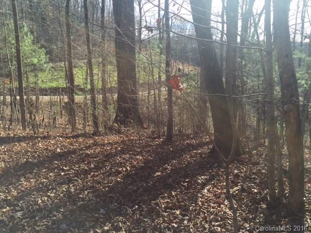 0 Ridge Road Rosman, NC 28772 - Photo 13 of 18 Gallery Image 13