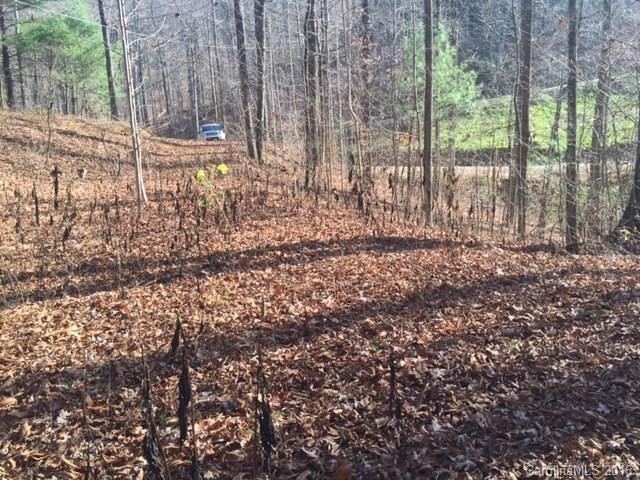 0 Ridge Road Rosman, NC 28772 - Photo 14 of 18 Gallery Image 14