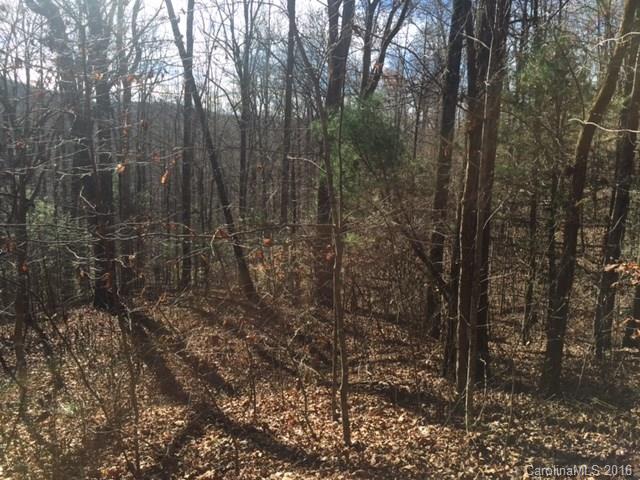 0 Ridge Road Rosman, NC 28772 - Photo 4 of 18 Gallery Image 4