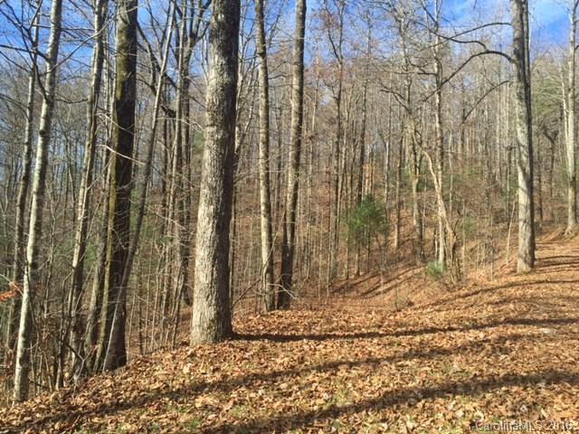 0 Ridge Road Rosman, NC 28772 - Photo 5 of 18 Gallery Image 5