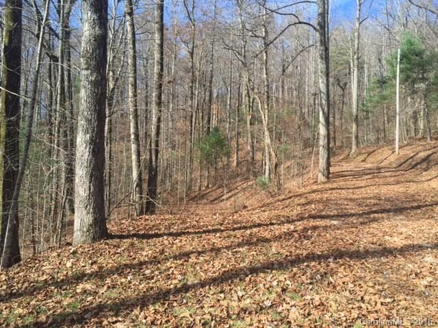 0 Ridge Road Rosman, NC 28772 - Photo 6 of 18 Gallery Image 6