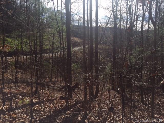0 Ridge Road Rosman, NC 28772 - Photo 10 of 18 Gallery Image 10
