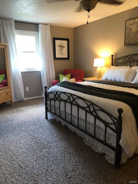 952 Long Branch Road Troy, IL 62294 - Photo 19 of 21 Gallery Image 19