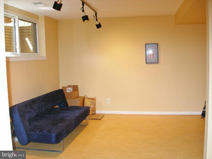1636 Bentana Way Reston, VA 20190 - Photo 4 of 22 Basement
