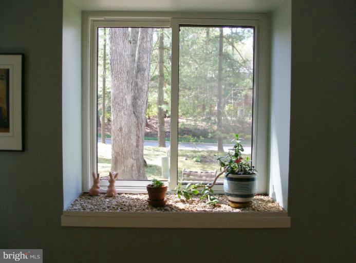 1636 Bentana Way Reston, VA 20190 - Photo 6 of 22 Greenhouse Window