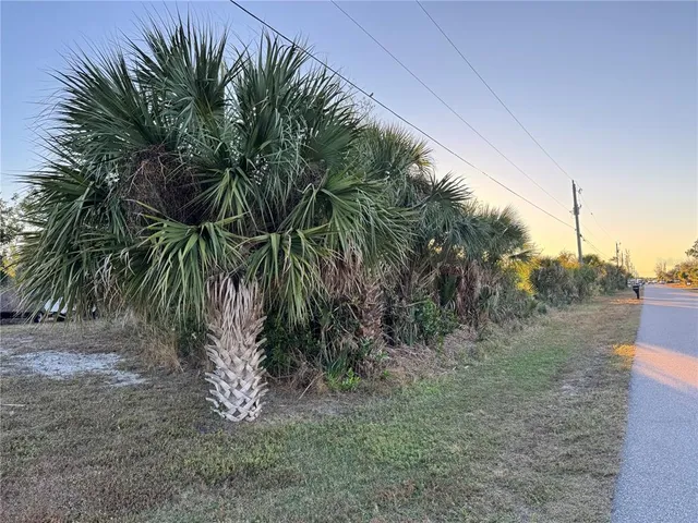 a view of a yard with a tree