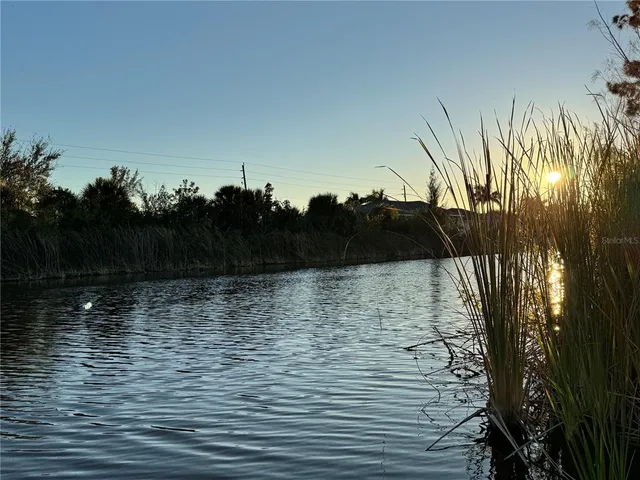 a view of water pond with lots of trees