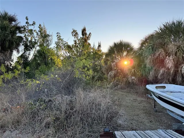 a view of a backyard with plants and trees
