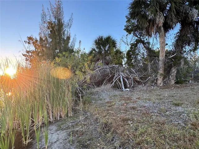 a view of backyard of the house