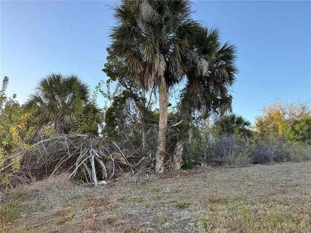 a view of dirt field with trees