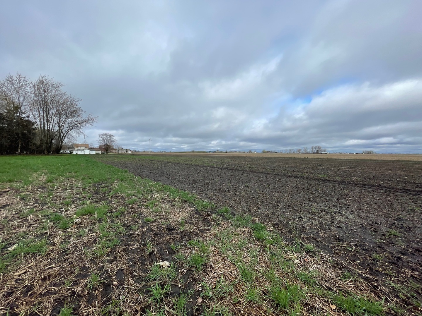 Lot 8 East Kyle Street Ogden, IL 61859 - Photo 3 of 5