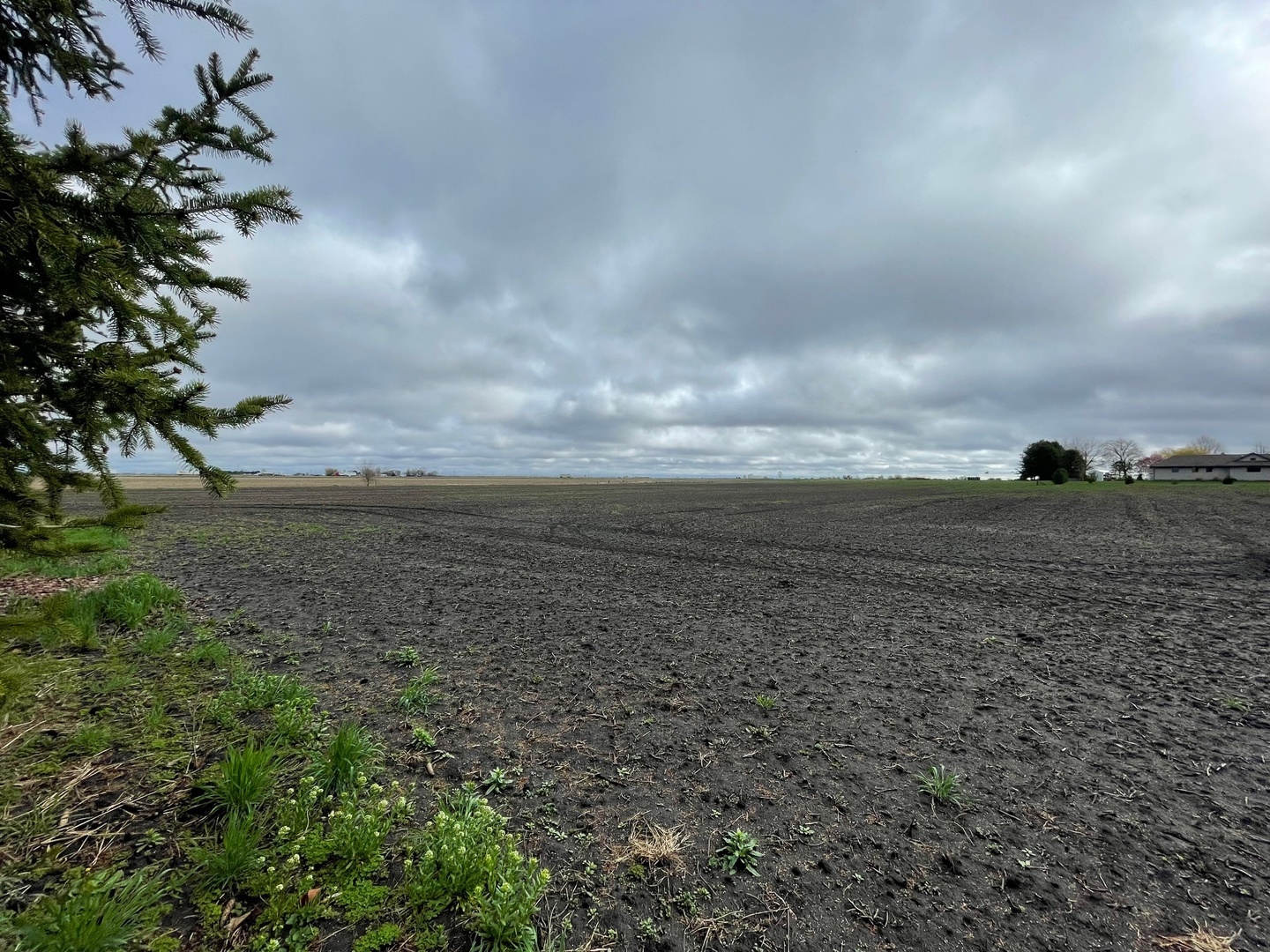 Lot 8 East Kyle Street Ogden, IL 61859 - Photo 4 of 5