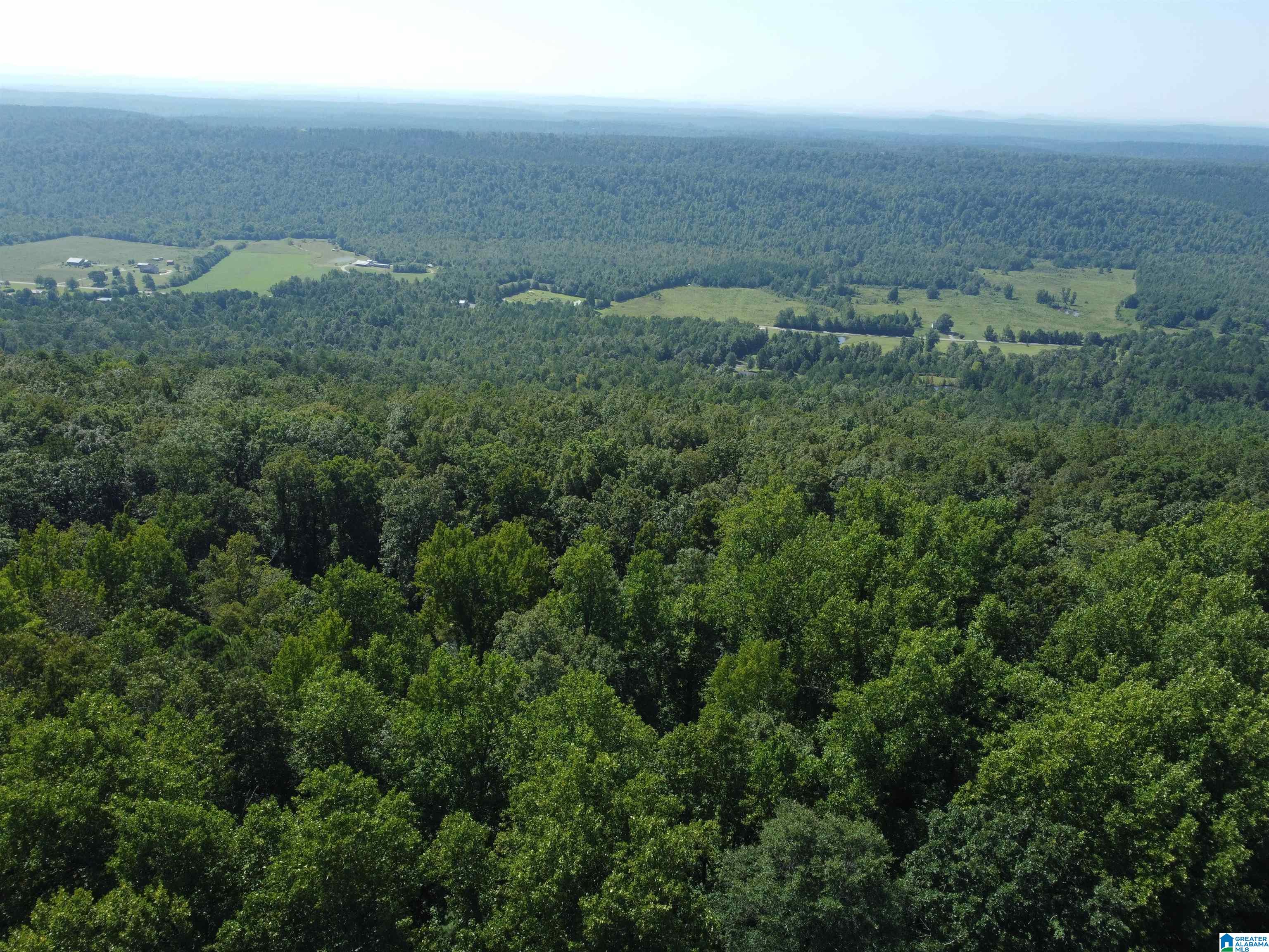 0 Beaver Mountain Road Ashville, AL 35953 - Photo 29 of 40