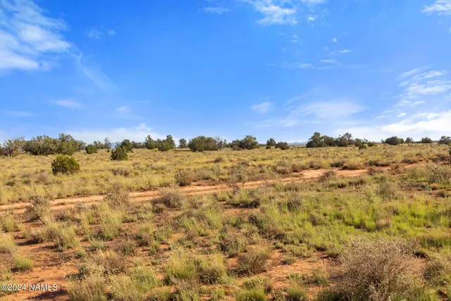 a view of a large building with mountains in the background