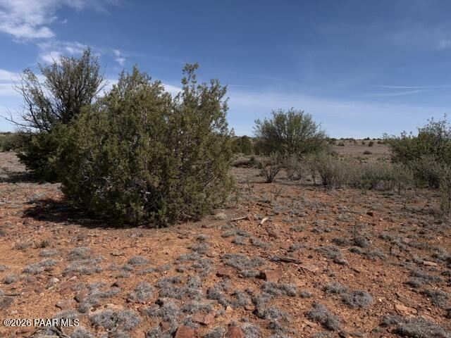363- Via Dolorosa Road Seligman, AZ 86337 - Photo 9 of 12 IMG_1102