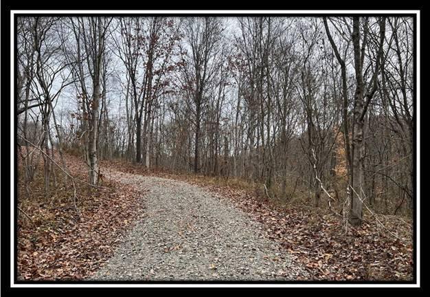 35816 Buck Run Road, Unit TRACT 11 Langsville, OH 45741 - Photo 18 of 31 image018