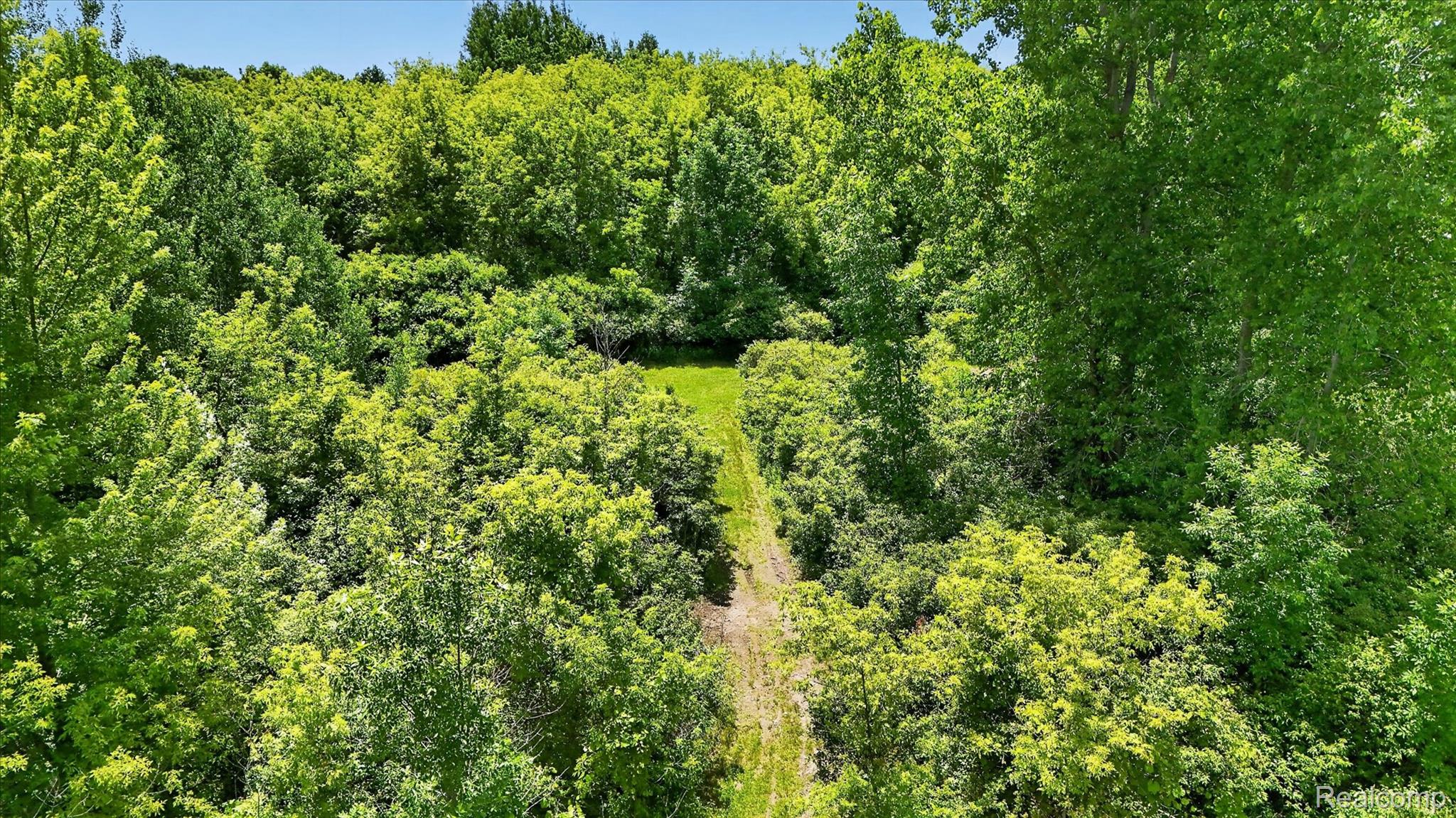 4461 West Ray Road Linden, MI 48451 - Photo 5 of 13 IMG_8996.jpeg