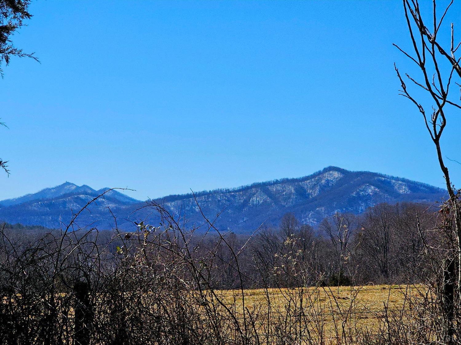 2066 Turkey Mountain Road Amherst, VA 24521 - Photo 12 of 19
