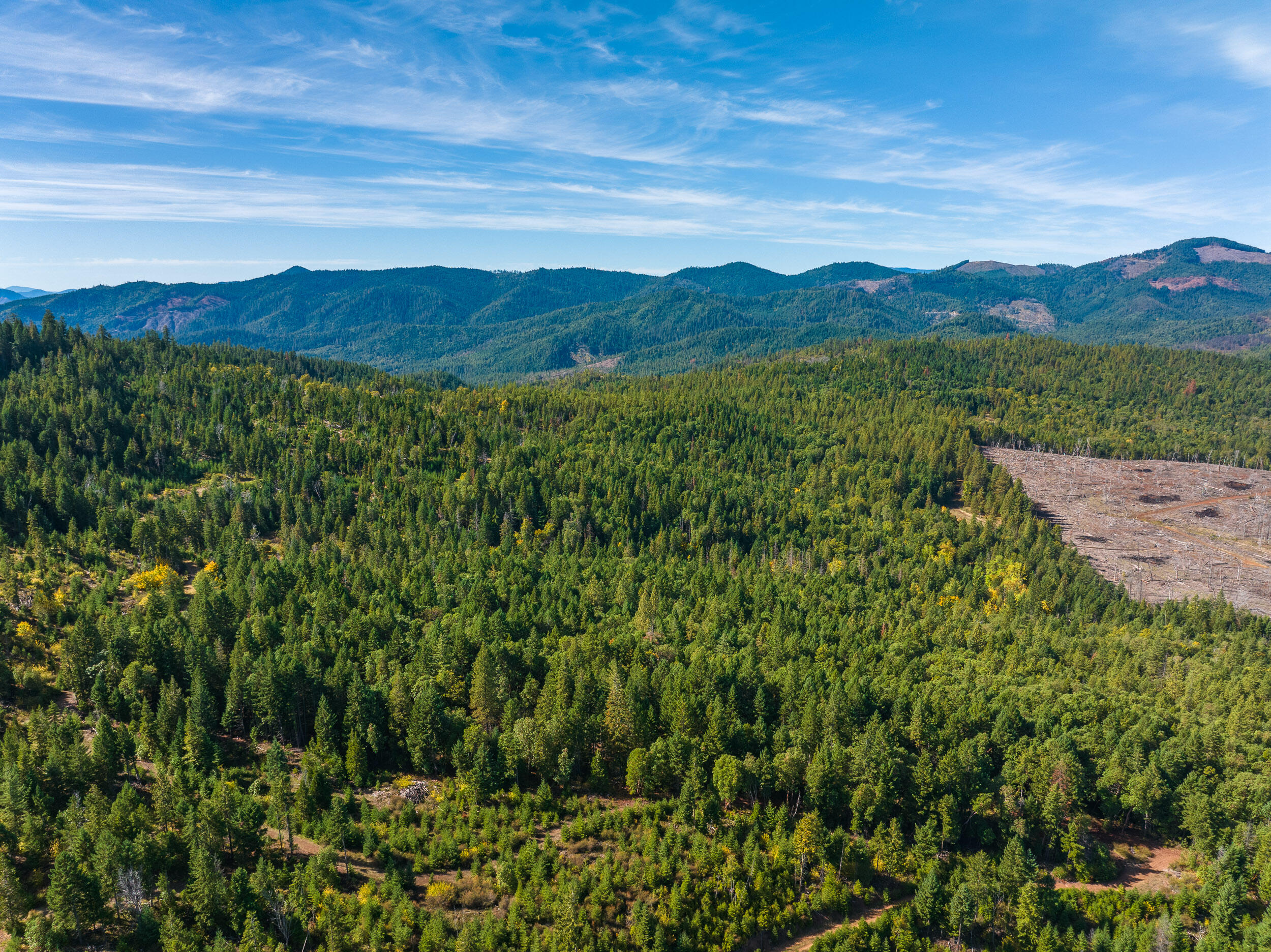 0 Long Branch Spur Road Eagle Point, OR 97524 - Photo 14 of 35 14